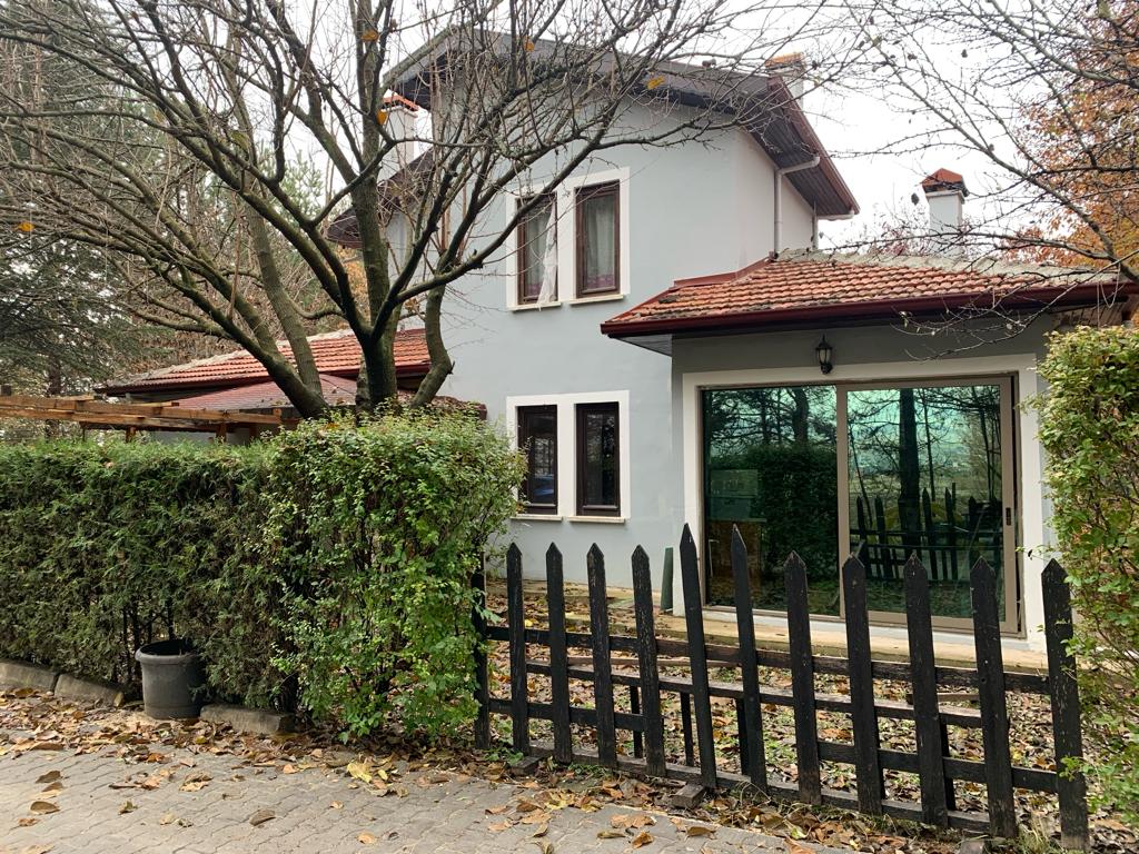 Office workspace with team collaboration